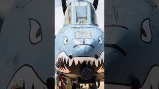 The A10 Warthog The Military’s Toughest GroundAttack Aircraft [upl. by Ttreve135]