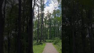 🌳💚Beautiful Reinstein woods nature park💚🌳 [upl. by Zeena]