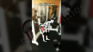 The Incredible Romanian Deadlift A Guide to Building Bigger Hamstrings [upl. by Yemerej]