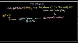 5 Viral pathogenesis introduction [upl. by Dewitt]