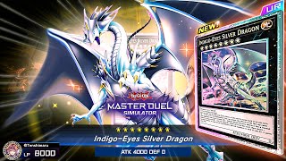 NEW BLUEEYES XYZ IS HERE NEW BLUEEYES SUPPORT CAN NEGATE EVERYTHING  IndigoEyes Silver Dragon [upl. by Richia]