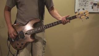 Tool Vicarious Bass Cover HDDirect [upl. by Tahp277]