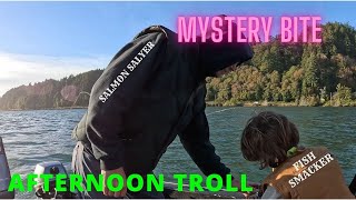 MYSTERY BITE TROLLING FOR SALMON WHAT WAS THAT [upl. by Ariek922]