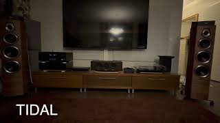 Fourth test Sonos Faber Sonetto V Tidal vs Vinyl [upl. by Nahtannhoj]