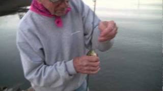 FishFilm  Basic Bobber fishing for SunFish [upl. by Nailluj901]