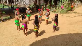 Embera tribe Panama [upl. by Reichel]