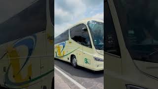 Nuevas Unidades Irizar I8 Efficient en Vallarta Plus [upl. by Grous400]