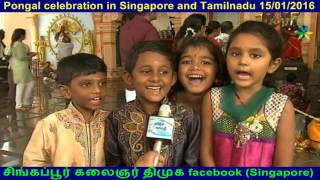 Pongal celebration in Singapore and Tamilnadu 15012016 [upl. by Llahsram]