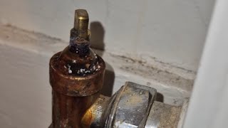 Leaking radiator valve 1 Minute Fix [upl. by Craven304]