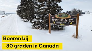 Boeren bij 30 graden in Canada [upl. by Aynwad]