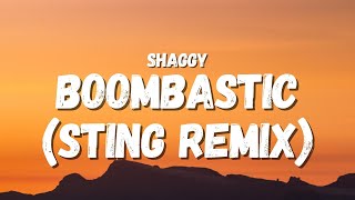 Shaggy  Boombastic Sting remix Lyrics TikTok Song  Im boombastic tell me fantastic [upl. by Ludwog]