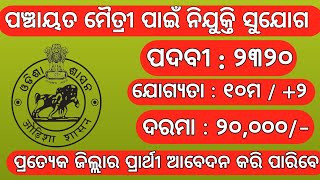 Odisha Panchayat Maitri Recruitment 2024  Panchayat Level Govt Jobs in Odisha  Odisha Jobs [upl. by Urbai879]