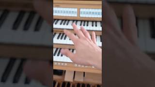 This will change your organistlife [upl. by Arraeic432]