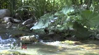 Buccino festeggia il fiume Tanagro [upl. by Otecina937]