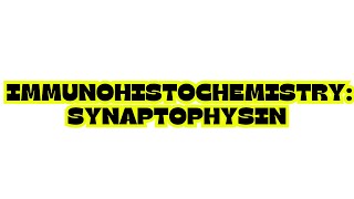 IMMUNOHISTOCHEMISTRY SYNAPTOPHYSIN [upl. by Jaquelyn917]