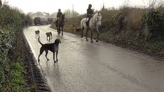 Suir Vale Harriers Hunt Drom 13th Feb 2022 [upl. by Naut]