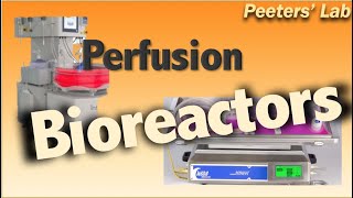 Perfusion bioreactors [upl. by Boylan]