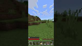 REVIER MARKIEREN  minecraft gaming [upl. by Luanni981]