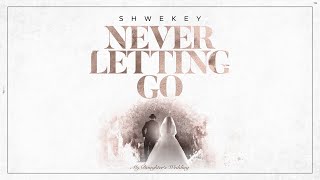 יעקב שוואקי Yaakov Shwekey  Never Letting Go [upl. by Ahsiad651]