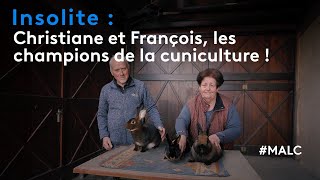 Insolite  Christiane et François les champions de la cuniculture [upl. by Jezabelle]