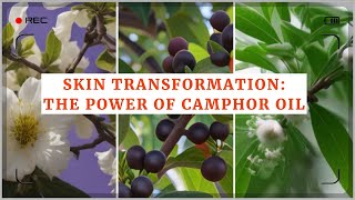 Skin Transformation The Power of Camphor Oil Discover the Wonders of Camphor Oil for Skin [upl. by Eireva]