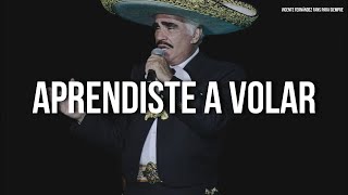 Vicente Fernandez  Aprendiste A Volar LetraLyrics [upl. by Helbonna]