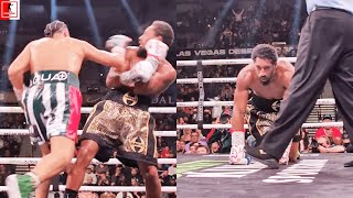 MUST SEE RINGSIDE VIEW OF DAVID BENAVIDEZ DROPPPING DEMETRIUS ANDRADE [upl. by Nim55]