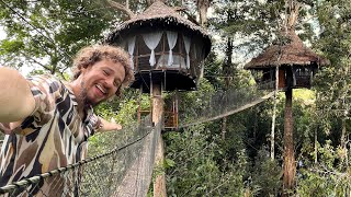 Este hotel está construido sobre ÁRBOLES  Tree Lodge Amazonas [upl. by Athelstan]