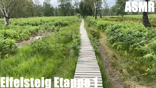 Eifelsteig Etappe 1  Natur pur  Fernwanderweg in der Eifel  longdistance hiking trail  ASMR [upl. by Llevaj]