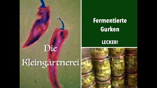 Gurkenschwemme Gurken fermentieren  Salzgurken milchsauer einlegen [upl. by Kimura]