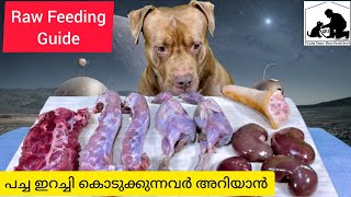 Homemade dog food  Raw food recipes malayalam Best dog food [upl. by Hugibert]