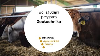 Studuj program quotZootechnikaquot na Agronomické fakultě MENDELU [upl. by Niffirg429]