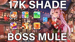 GMS Reboot 17k Shade Boss Mule [upl. by Cthrine384]