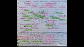 steroids synthesis biochemistry [upl. by Uhp]