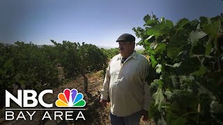 Livermore grape grower finally savors the fruits of a halfcentury in the vines [upl. by Rothwell289]