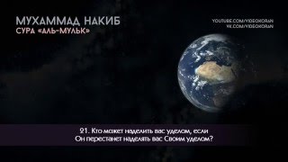 Красивое чтение Корана Мухаммад Накиб Сура 67 «аль Мульк» [upl. by Dole838]