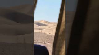 Crossing the Algerian desert by bus algeria roadtrip [upl. by Eizle738]