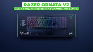 Razer Unboxing  Razer Ornata V2 amp Cynosa V2 [upl. by Mccord449]