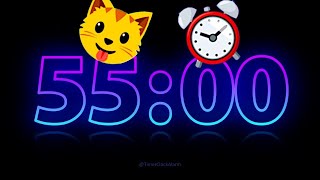 ⚡ Electric Timer ⚡ 55 Minute Countdown [upl. by Yesnik]