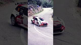 Skoda Rally skodafabia skoda rally rallycar shortsrandom shorts subscribe [upl. by Hazmah527]