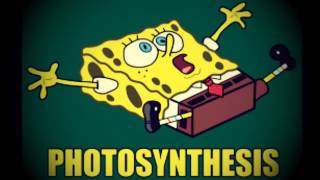 PHOTOSYNTHESIS SPONGEBOB HIPHOP REMIX  JACKSON BEATZ [upl. by Addiel]