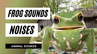 Frog Sounds Noises  sound of frogs frog sound for relaxation and sleep nature sounds [upl. by Dahsra]