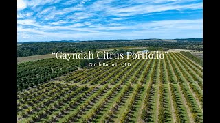 quotGayndah Citrus Portfolioquot North Burnett QLD Marketed by Bruce Douglas and Jason Mattiazzi [upl. by Renny]