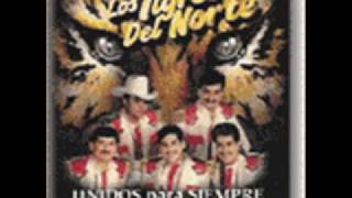 Los Tigres del Norte  Alla Nos Juntamos [upl. by Nwahsav]