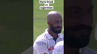 Sajjid khan vs Harry brook 🔥shortvideo shortsshortsviral cricket cricketlover [upl. by Nnyluqcaj]