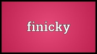 Finicky Meaning [upl. by Atsejam]