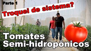 Sistema de Tomates SemiHidropônicos  Conhecendo a Nova Estufa dos Meus Vizinhos Parte 1 [upl. by Nrol]