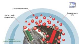 CAPA DE OZONO COMPUESTOS CFC Y SUS CONSECUENCIAS ANIMACION BIEN EXPLICADA [upl. by Amahcen659]