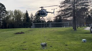 Hughes MD500E RC working spreader bucket Saxtons field Nelson New Zealand￼ [upl. by Ardnas639]