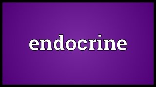 Endocrine Meaning [upl. by Airlee473]